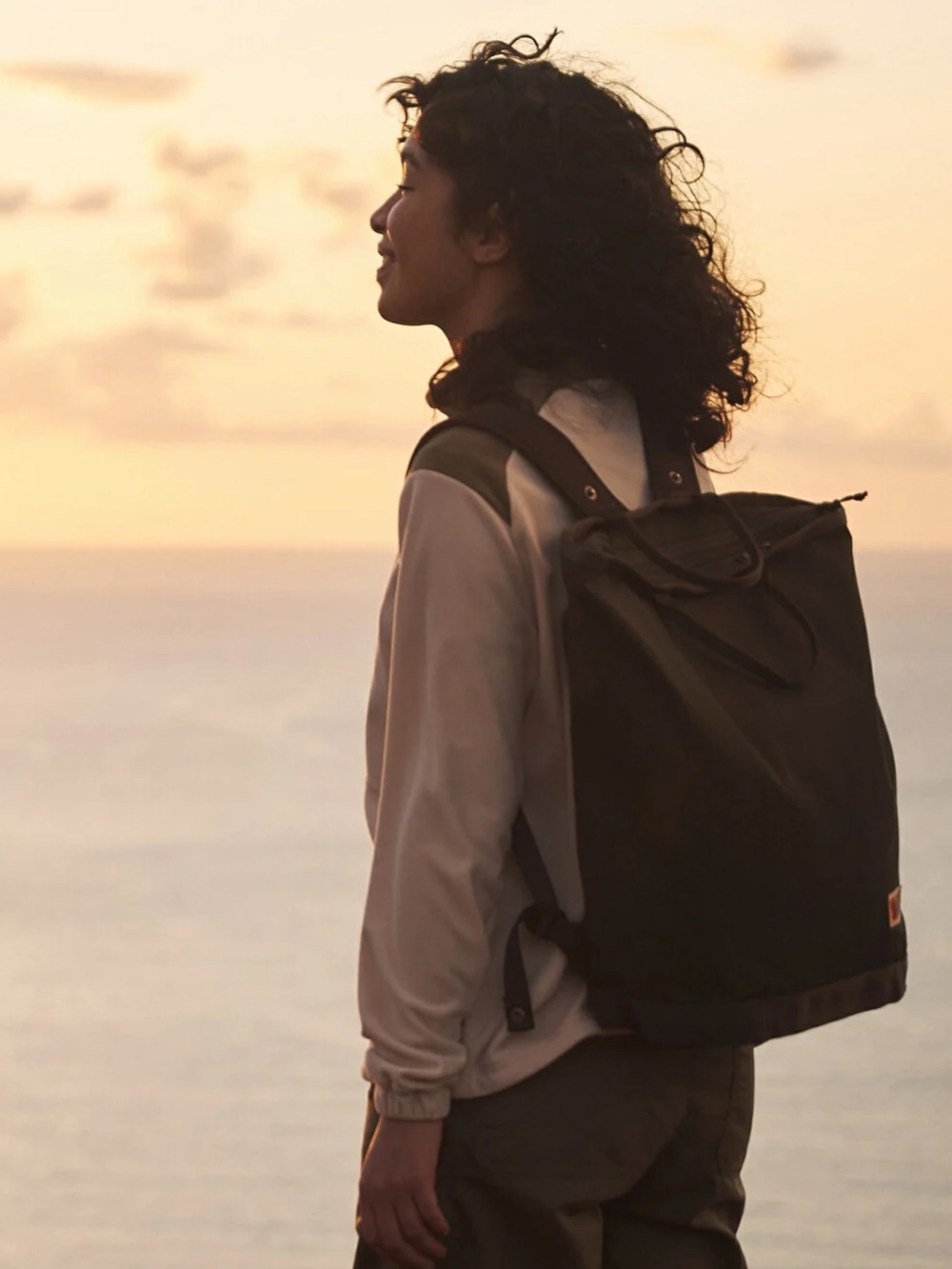 Fjallraven Vardag Totepack Royal Purple Tote Backpack